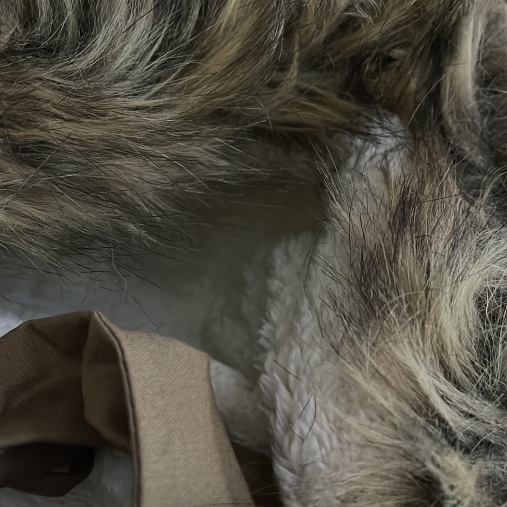 Rue21 Jacket - image 4